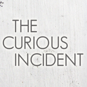the curious incident