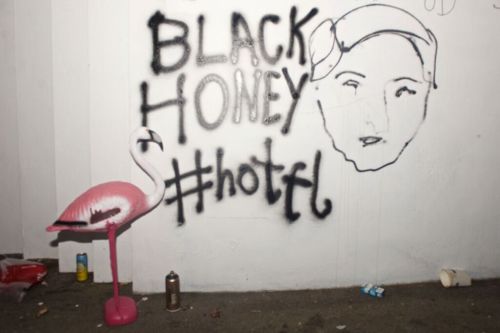 black honey gaz jones