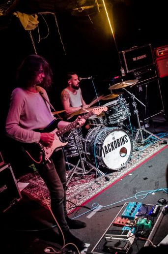 the jackobins