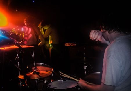 cabbage ebgbs fi carroll